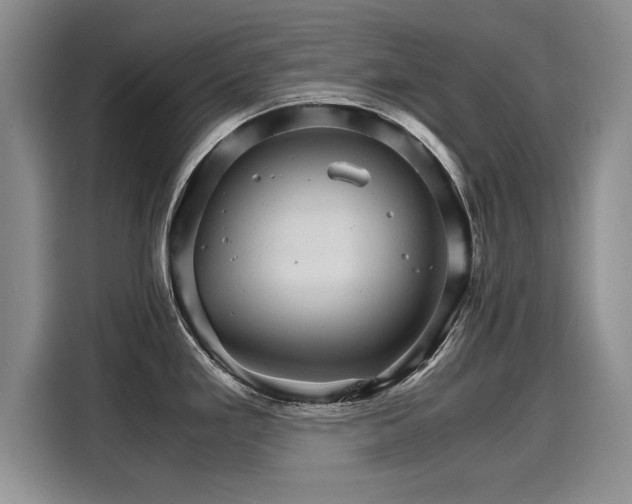 X0000116121293200911301319