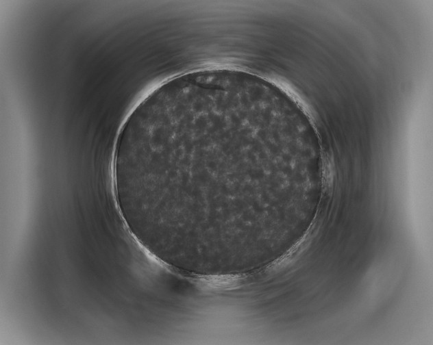 X0000116121294200911301319