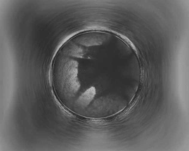 X0000116121295200911301319