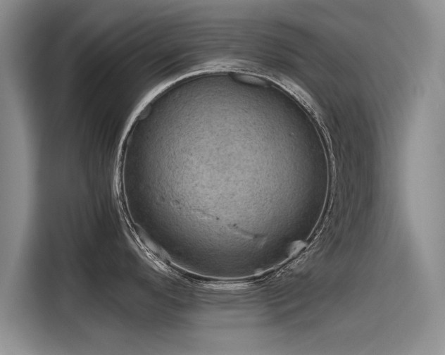 X0000116121296200911301319