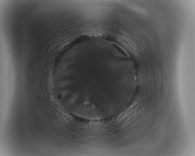 X0000116121297200911301319