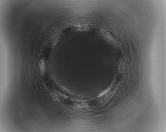 X0000116121298200911301319