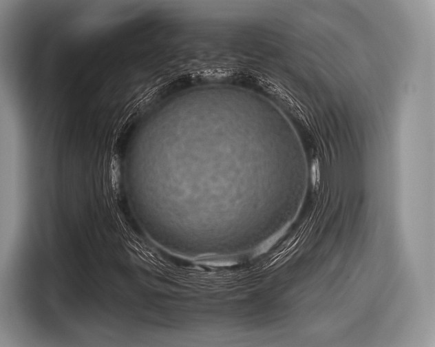 X0000116121299200911301319