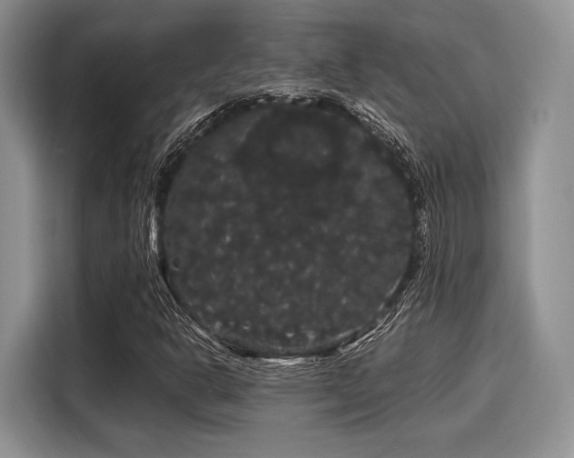 X0000116121302200911301319