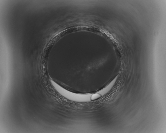 X0000116121303200911301319