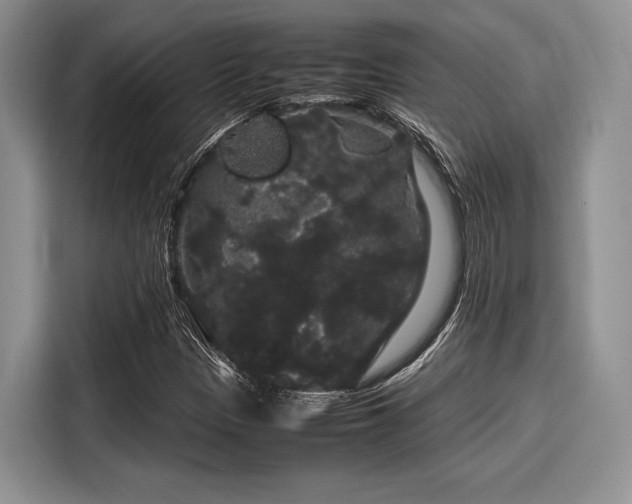 X0000116121305200911301319