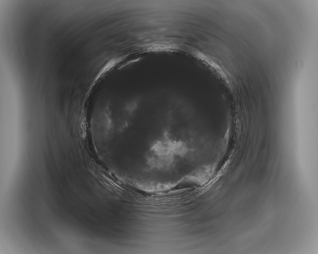 X0000116121306200911301319