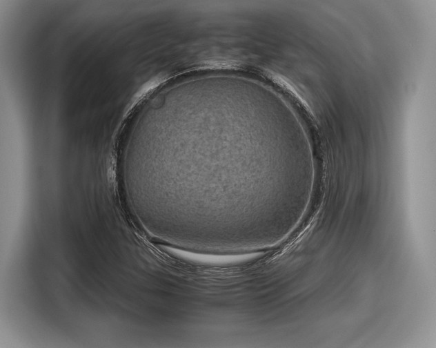 X0000116121307200911301319