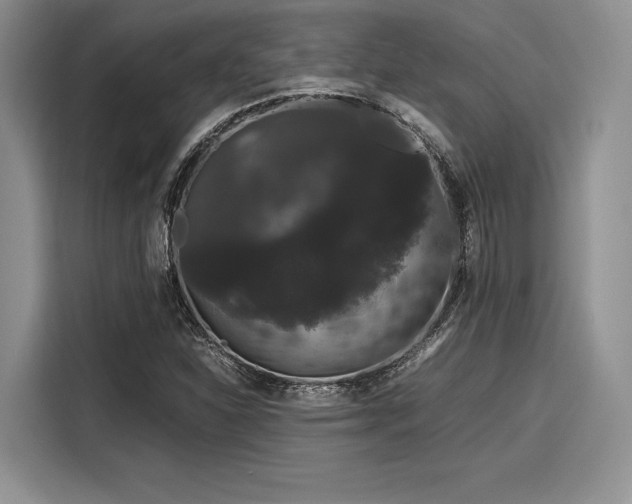 X0000116121310200911301319