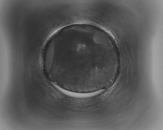 X0000116121311200911301319