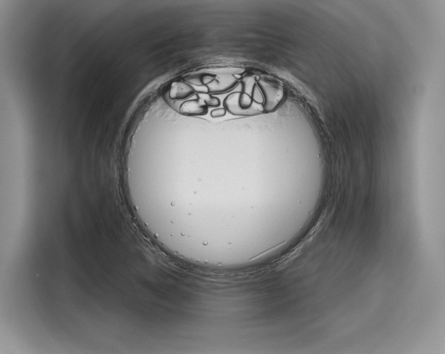 X0000116121314200911301319