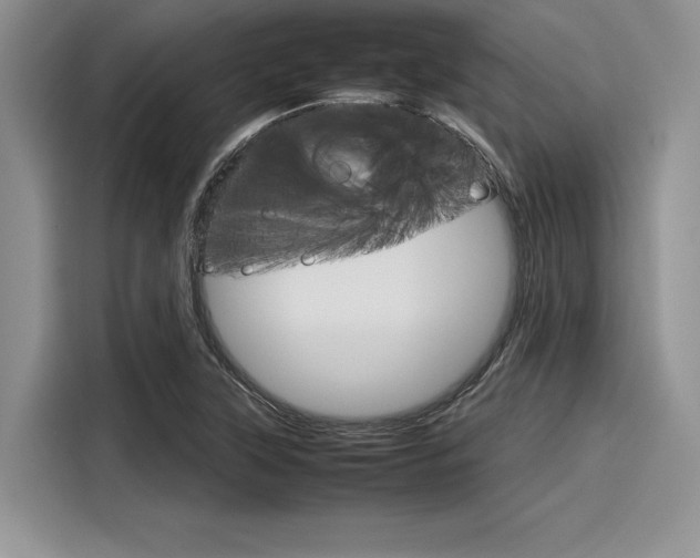 X0000116121315200911301319