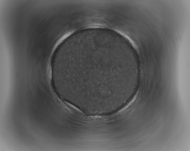 X0000116121317200911301319