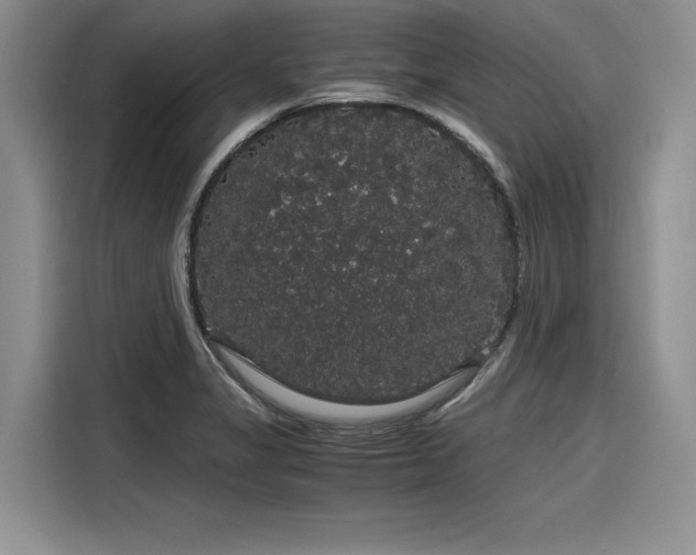 X0000116121325200911301319