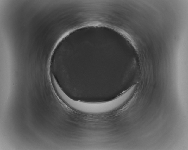 X0000116121326200911301319