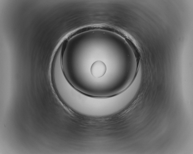 X0000116121327200911301319