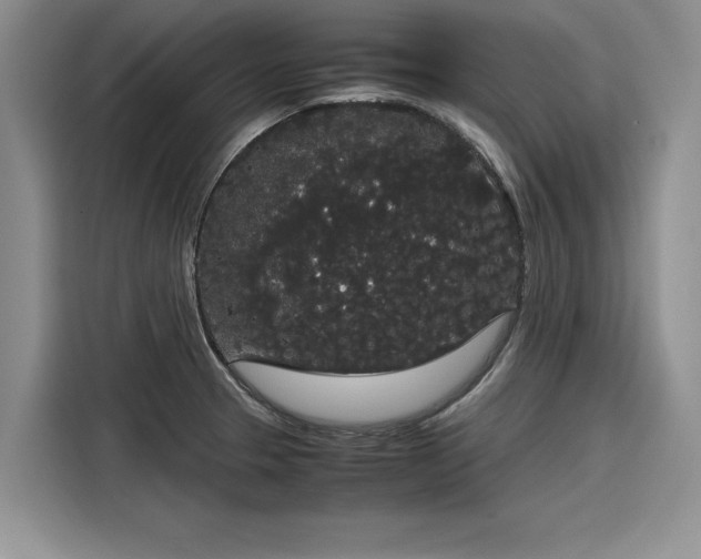 X0000116121329200911301319