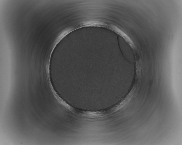 X0000116121330200911301319