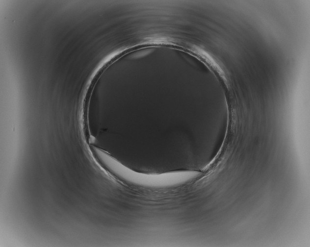 X0000116121331200911301319