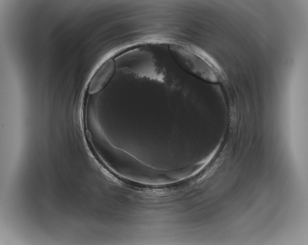 X0000116121334200911301319