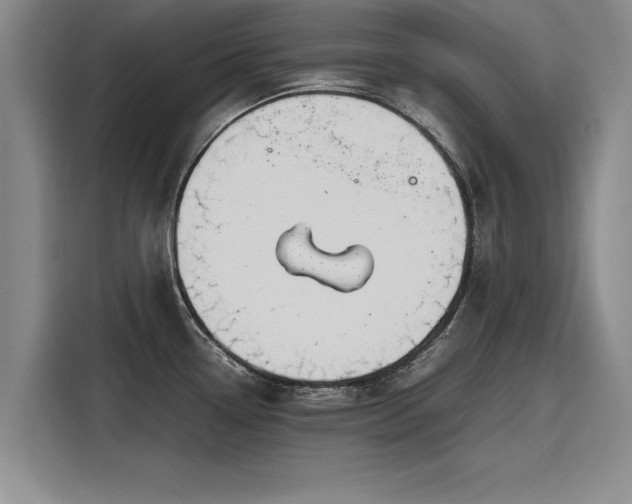 X0000116121338200911301319