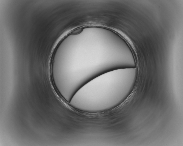 X0000116121341200911301319