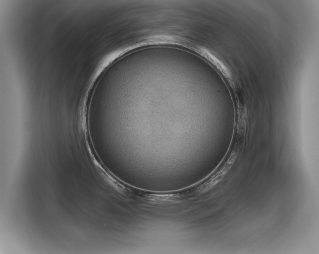 X0000116121342200911301319