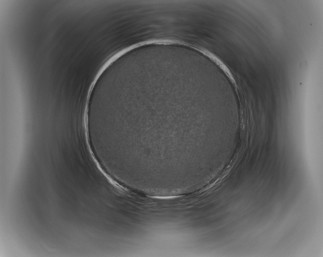 X0000116121343200911301319