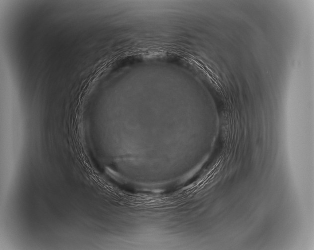 X0000116121345200911301319