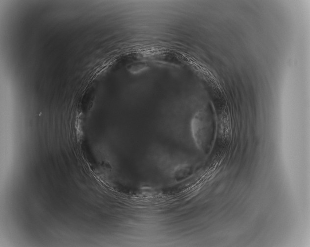 X0000116121346200911301319