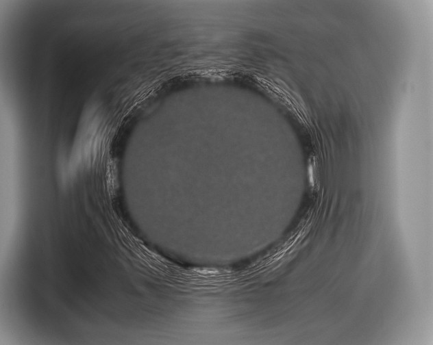 X0000116121347200911301319