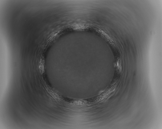 X0000116121348200911301319