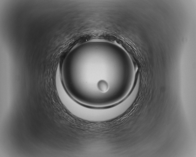 X0000116121349200911301319