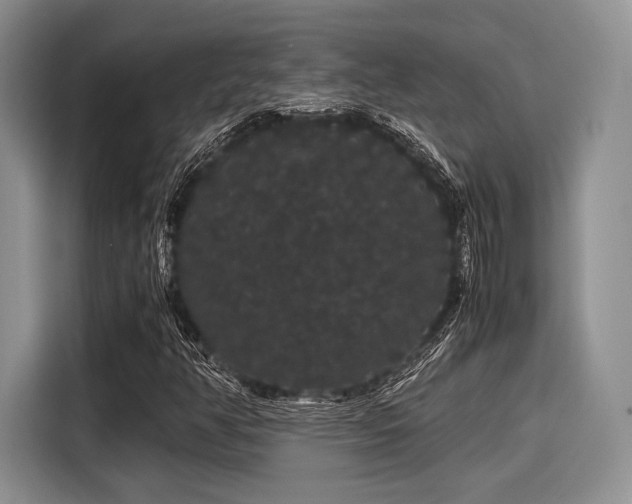 X0000116121350200911301319