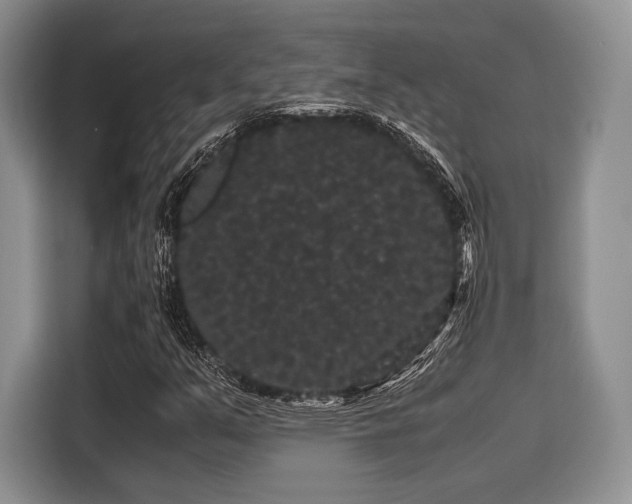 X0000116121351200911301319