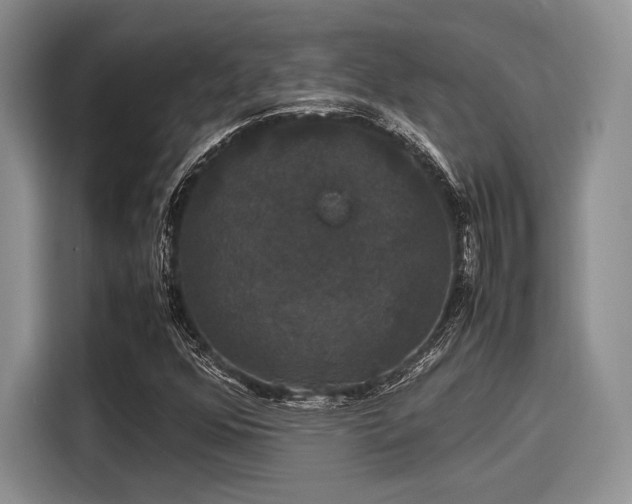 X0000116121352200911301319