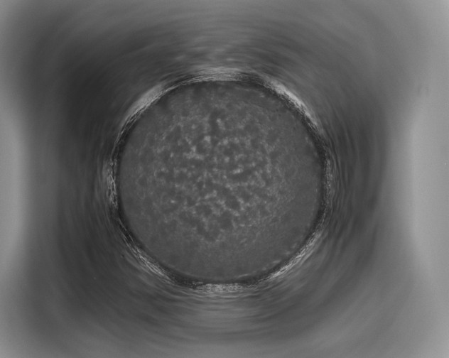 X0000116121354200911301319