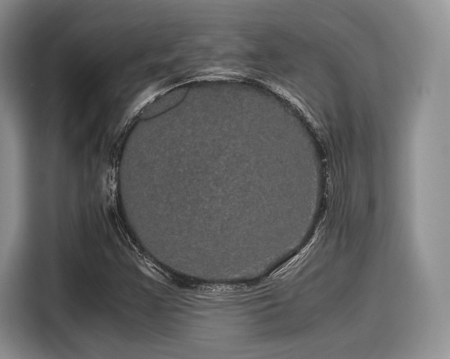 X0000116121355200911301319