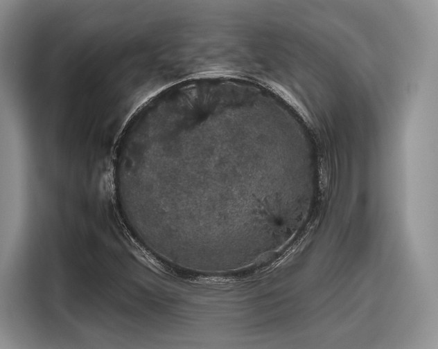 X0000116121356200911301319