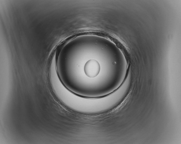 X0000116121357200911301319