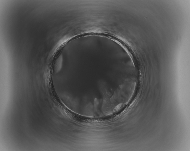 X0000116121359200911301319