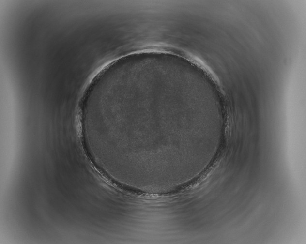 X0000116121360200911301319