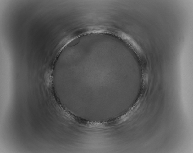 X0000116121361200911301319