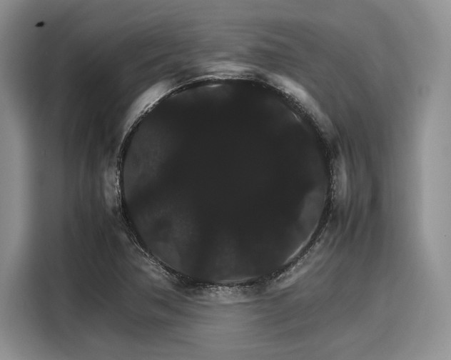 X0000116121362200911301319