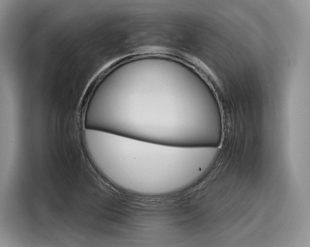 X0000116121364200911301318