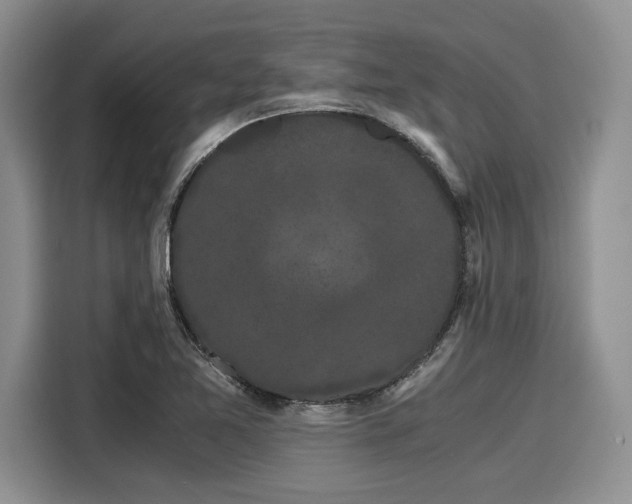 X0000116121365200911301318