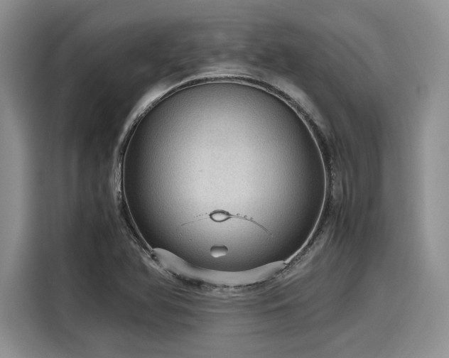 X0000116121366200911301318