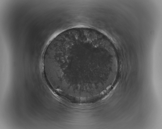 X0000116121367200911301318