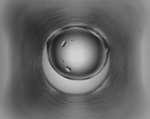 X0000116121369200911301318