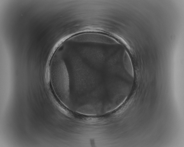 X0000116121371200911301318